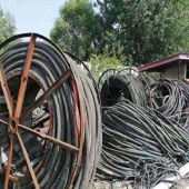 泰州市电线电缆回收2变压器回收销售 - 哪里好